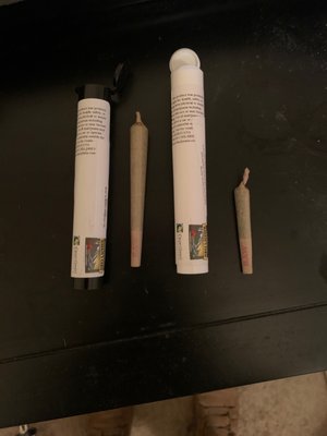 Maggie's Farm by null