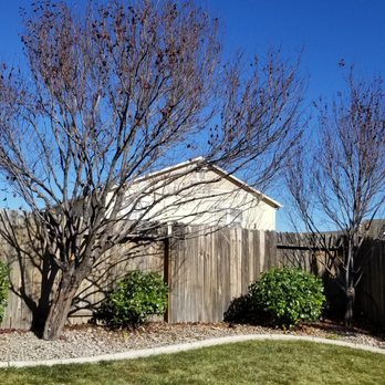 Myers Brothers Tree Care - Shaped and trimmed trees and shrubs - Tree Services Near Me Myers Brothers Tree Care - Shaped and trimmed trees and shrubs - Tree Services Near Me