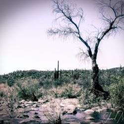 Spur Cross Ranch Conservation Area - At the creek