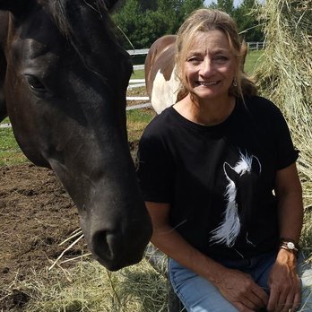 Gaits of Hope - Animal Assisted Therapy Near Me - Rice, Minnesota