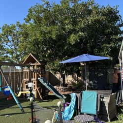 Gilberto Garden Landscape,tree Triming and Removal - Tree needing trimming