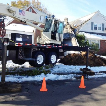 T & M Greencare - Tree Services Near Me - Freeport, New York T & M Greencare - Tree Services Near Me - Freeport, New York