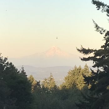 Council Crest Park - Mt. Hood - Dog Parks Near Me - Portland, Oregon Council Crest Park - Mt. Hood - Dog Parks Near Me - Portland, Oregon
