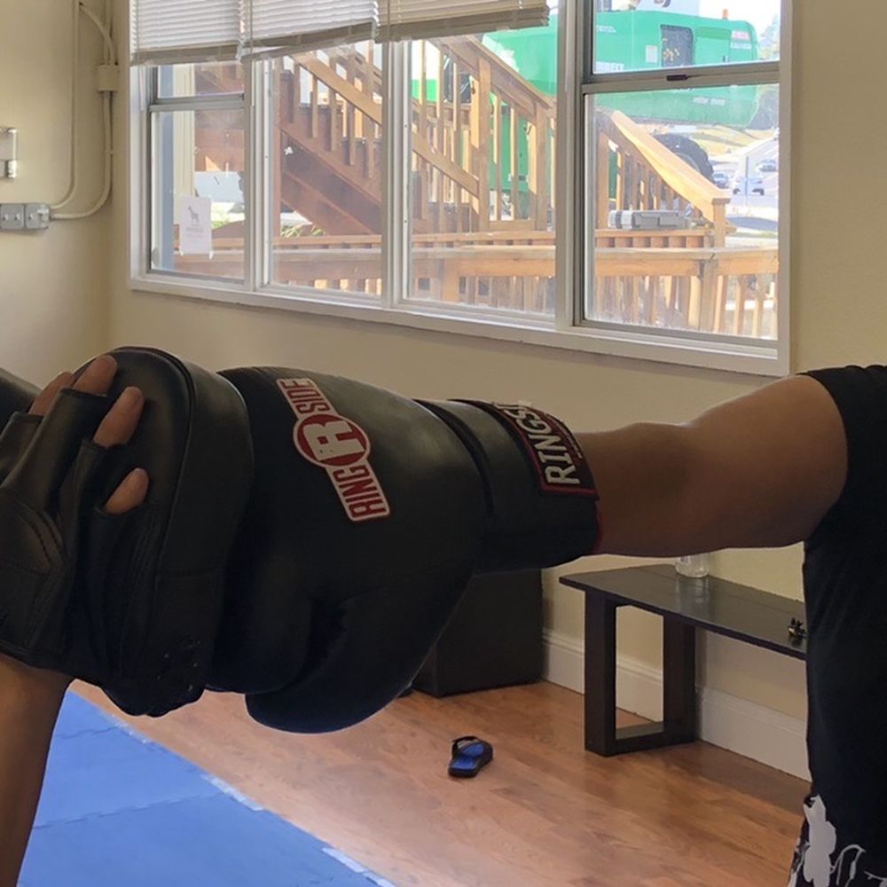Guardian Krav Maga