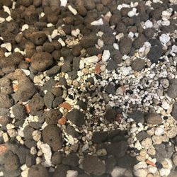 The Lucky Garden - chunky pon mix--pumice, lava rock, and zeolite (with added leca, perlite, and slow-release fertilizer)