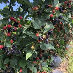 Riverbend Farms