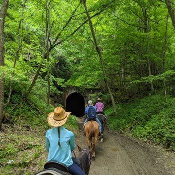 Horseshoe Creek Riding Stable - Horseback Riding Near Me