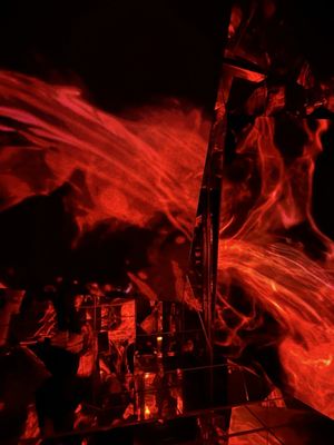 teamLab Borderless: MORI Building DIGITAL ART MUSEUM by null