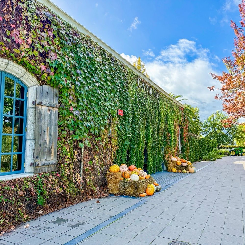 Caymus Vineyards - Wineries Near Me - Rutherford, California