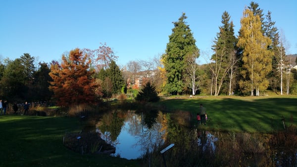 Botanical Garden by null