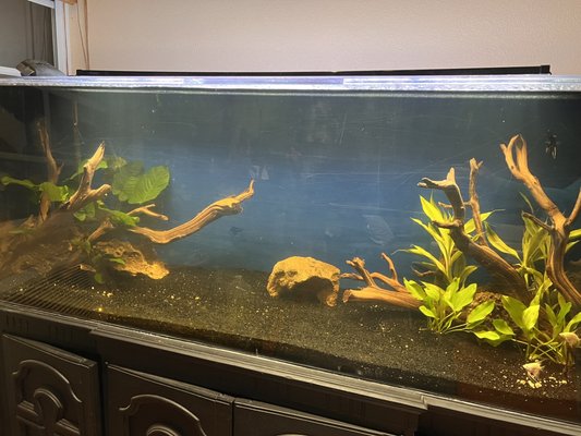 The Fin Shop by null