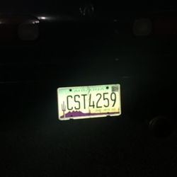 Papa Johns Pizza - Driver's license plate
