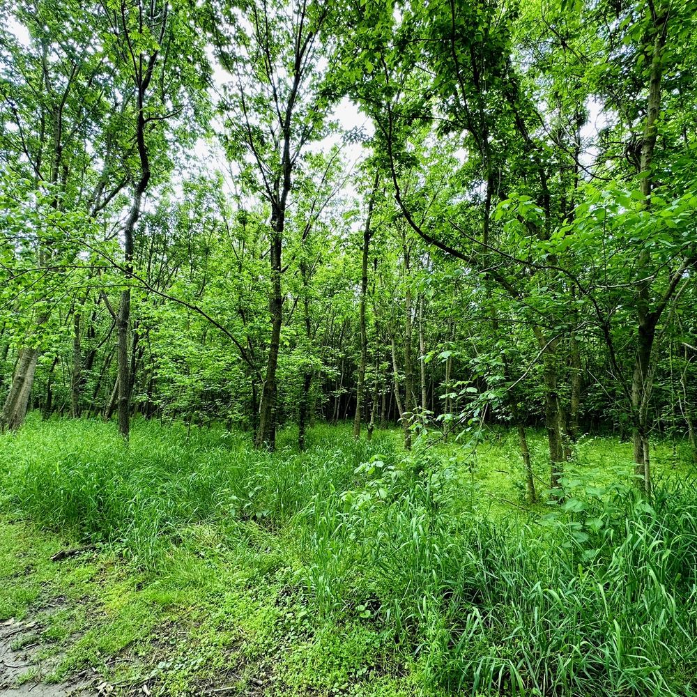Bles Park - Parks Near Me - Ashburn, Virginia Bles Park - Parks Near Me - Ashburn, Virginia