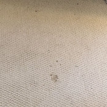 Alley Electric - More mud on carpet - Electricians Near Me - Lafayette, California