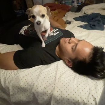 Irvine Animal Care Center - Brother and baby MooMoo getting along great! - Animal Shelters Near Me - Irvine, California Irvine Animal Care Center - Brother and baby MooMoo getting along great! - Animal Shelters Near Me - Irvine, California