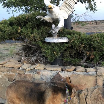 White Eagle Inn - The Namesake Eagle! - Hotels Near Me - Cortez, Colorado