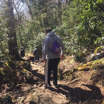 Ramsey Cascades - Going back down. - Local Flavor Near Me - Gatlinburg, Tennessee