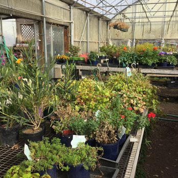 Garden Shoppe - Nurseries & Gardening Near Me - Medford, Oregon Garden Shoppe - Nurseries & Gardening Near Me - Medford, Oregon