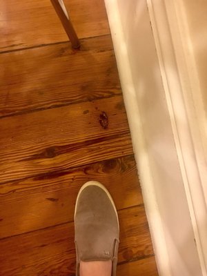 Creole Gardens Bed and Breakfast Hotel by null