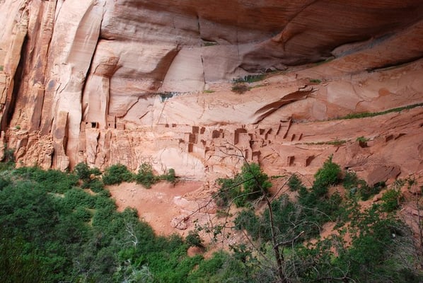 Navajo National Monument by null