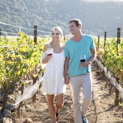 Solvang Conference & Visitors Bureau - More than 100 vineyards surround Solvang in the Santa Ynez Valley