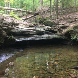 Beautiful tiny water fall/spout off the hiking trail Beautiful tiny water fall/spout off the hiking trail