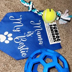 Feeders Supply - Dog Toys