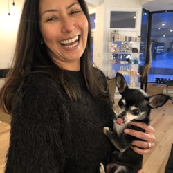 Revolution Hair Studio - Hello puppy