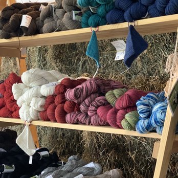 GalPaca Farm Alpacas - Attraction Farms Near Me - Mount Horeb, Wisconsin