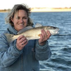 Wrightsville Beach Fishing