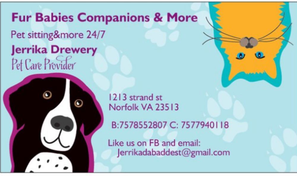 Fur Babies Companions & More - pet boarding facility in Norfolk, VA