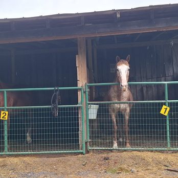Rock Bottom Horse Camp - Covered stalls - Campgrounds Near Me - Ewing, Virginia