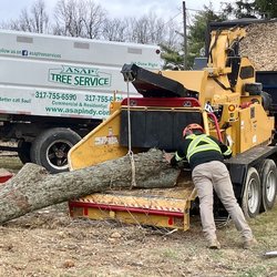 ASAP Tree and Crane Services