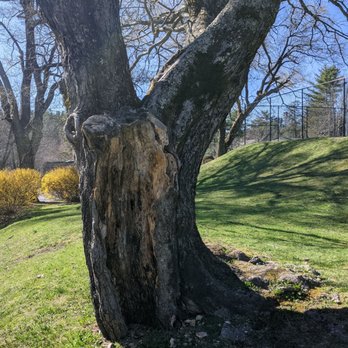 Memorial Park - Memorial Park - Parks Near Me - Blowing Rock, North Carolina