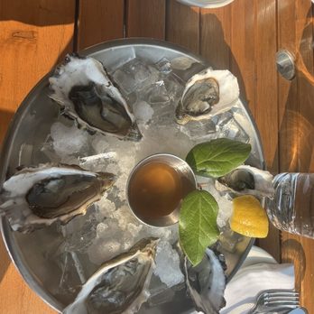 Half Shell - Bars Near Me - Seattle, Washington