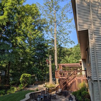 Ax Tree Services - Very efficient, quick, and clean service! - Landscaping Near Me - Bealeton , Virginia Ax Tree Services - Very efficient, quick, and clean service! - Landscaping Near Me - Bealeton , Virginia