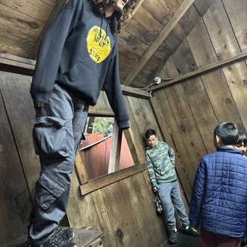 Mystery Spot - Amusement Parks Near Me - Santa Cruz, California Mystery Spot - Amusement Parks Near Me - Santa Cruz, California