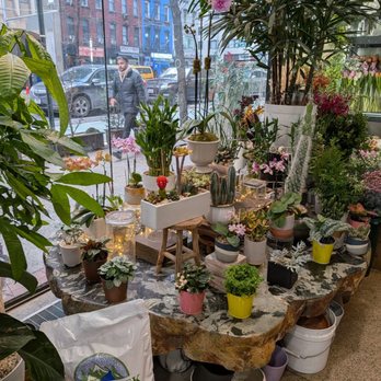 Remi43 Flower & Coffee - The plants downstairs - Coffee & Tea Near Me - New York, New York