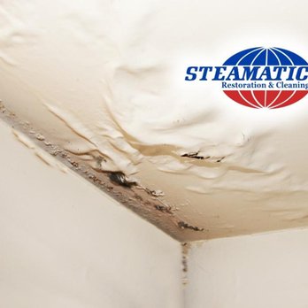 Steamatic - Carpet Cleaning Near Me - North Indianapolis, Indiana