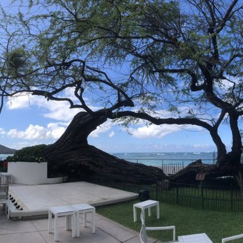 Halekulani Hotel - House without a Key - Hotels Near Me - Honolulu, Hawaii