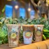 Phin Smith Las Vegas gift card