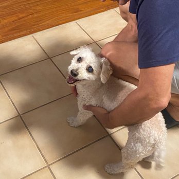 PetSmart - Someone happy to see grandpa after his grooming appointment - Pet Training Near Me - Savannah, Georgia