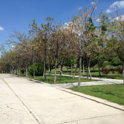 Parque Del Bronce - Para correr