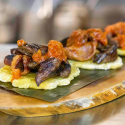 Patrona Fusion Restaurant