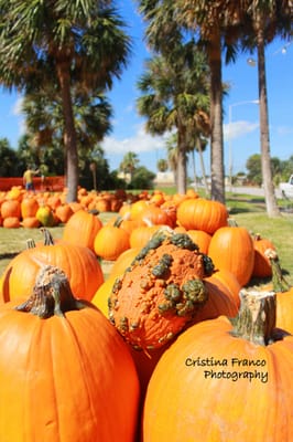 Moody Methodist Church