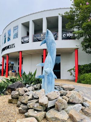 WAVE RIDING VEHICLES - Updated February 2025 - 116 Photos & 43 Reviews ...