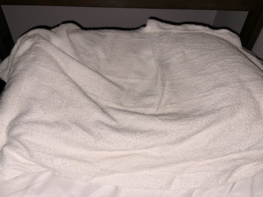 My Hawai‘i Hostel by null