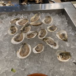Seafood Bar