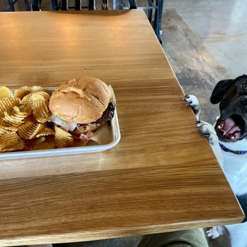 Appalachian Mountain Brewery - Oscar approves! - Breweries Near Me - Mills River, North Carolina