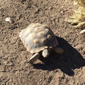 Animal Ark - Zoos Near Me - Reno, Nevada
